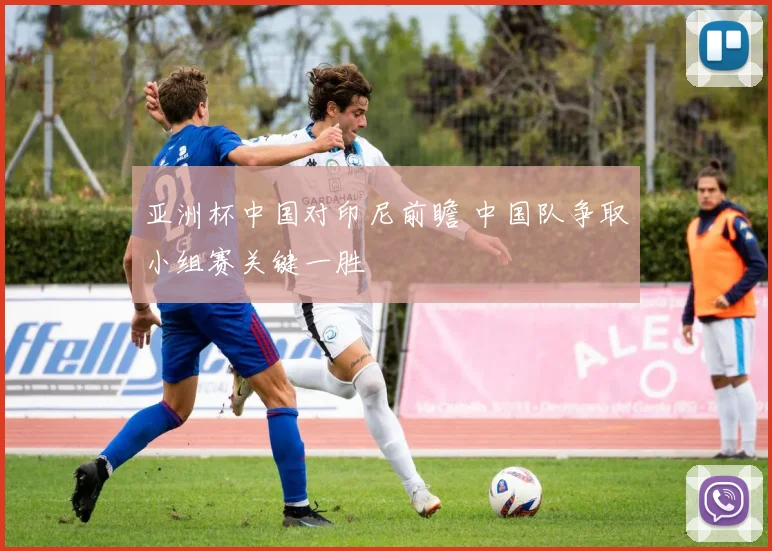 亚洲杯中国对印尼前瞻 中国队争取小组赛关键一胜