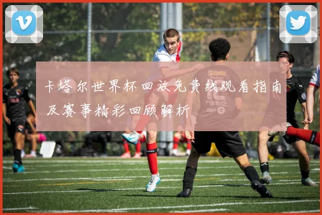 卡塔尔世界杯回放免费线观看指南 及赛事精彩回顾解析
