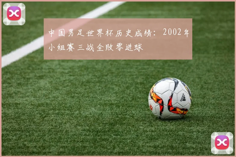 中国男足世界杯历史成绩：2002年小组赛三战全败零进球