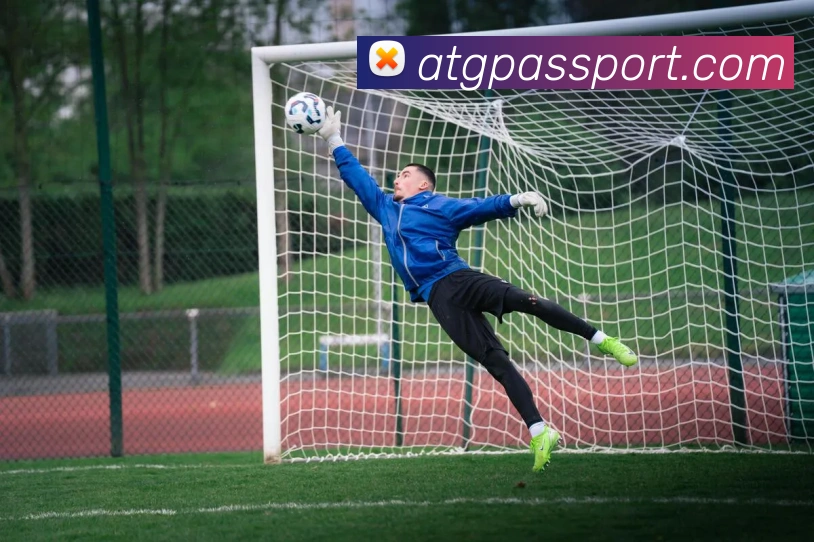 华体会综合体育登录发展历程